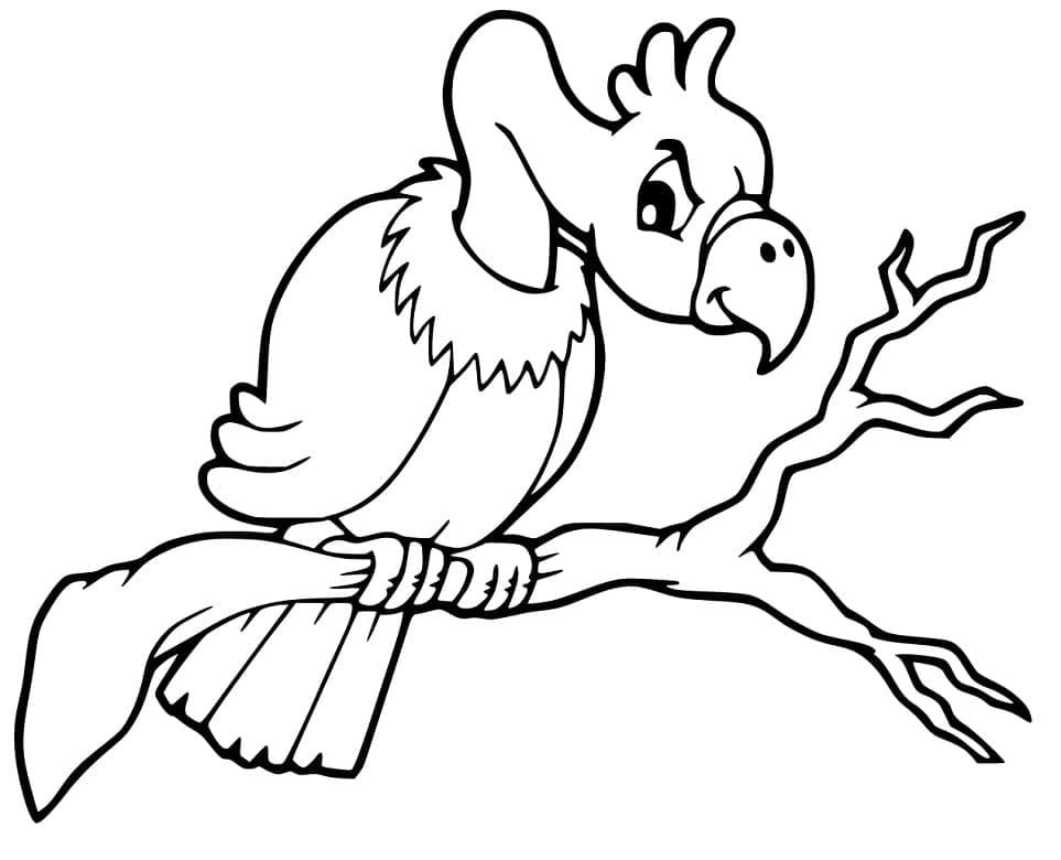 Chim Kền Kền Trên Cành Cây