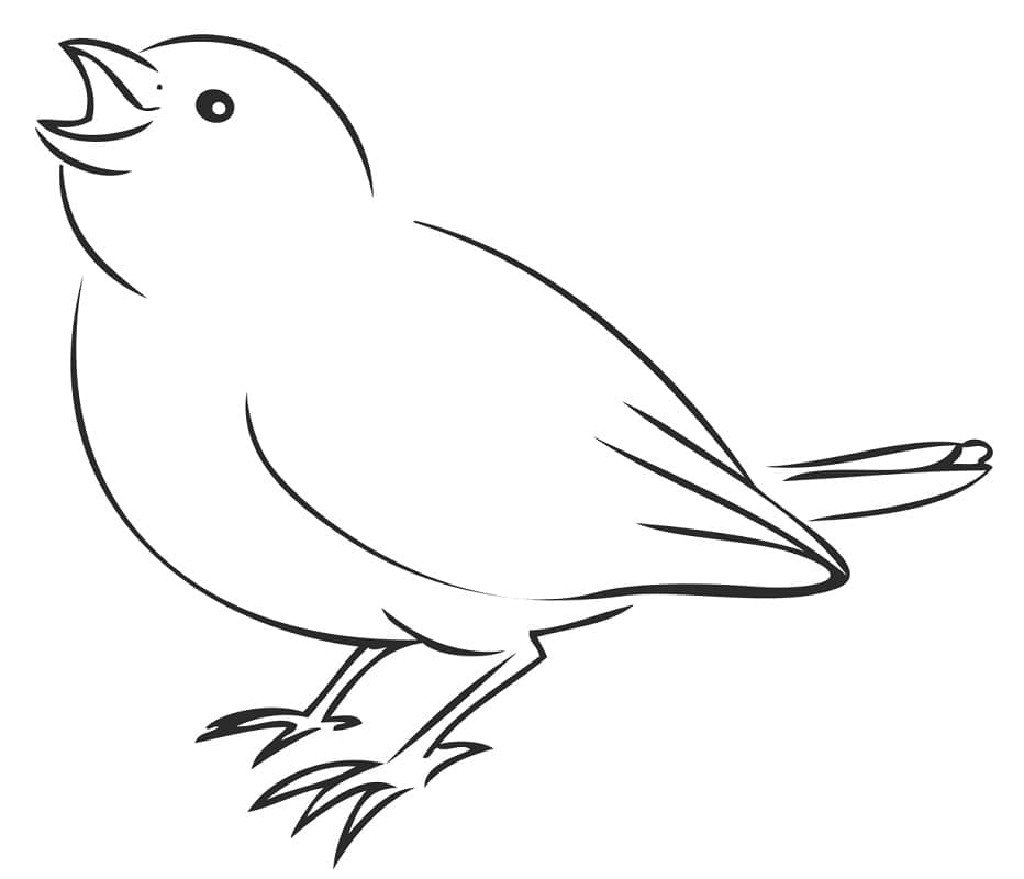 Chim Sẻ Đơn Giản