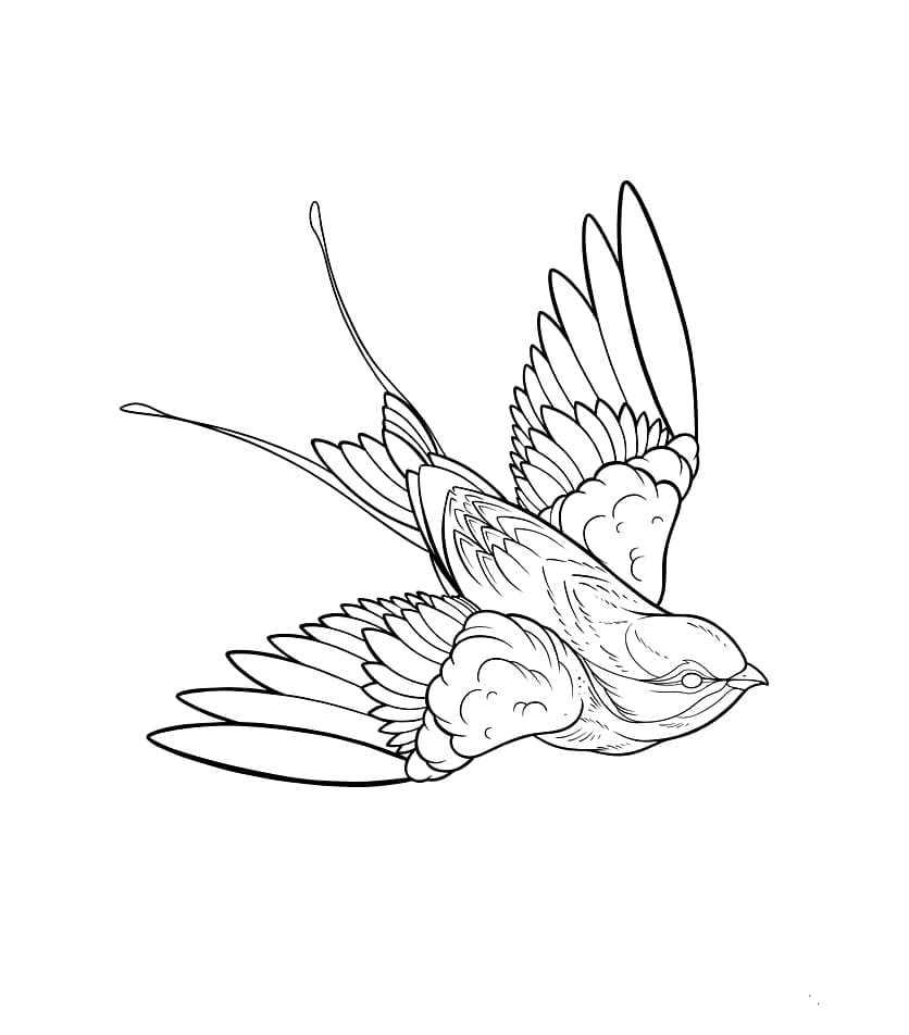 Chim Thiên Đường