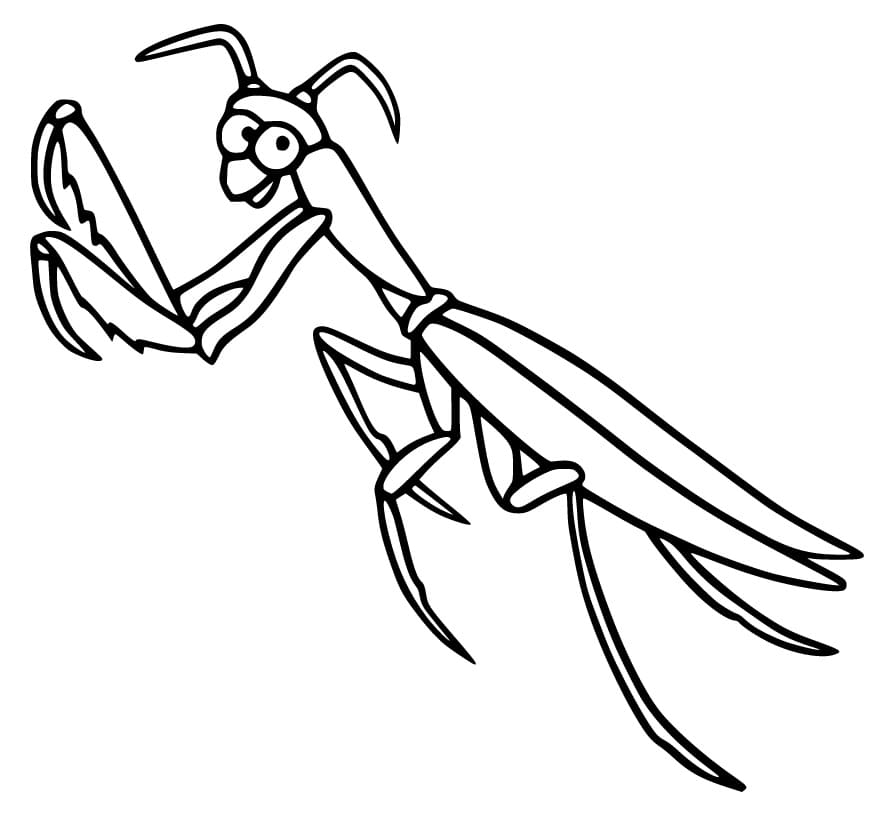 Chú Bọ Ngựa Ngộ Nghĩnh