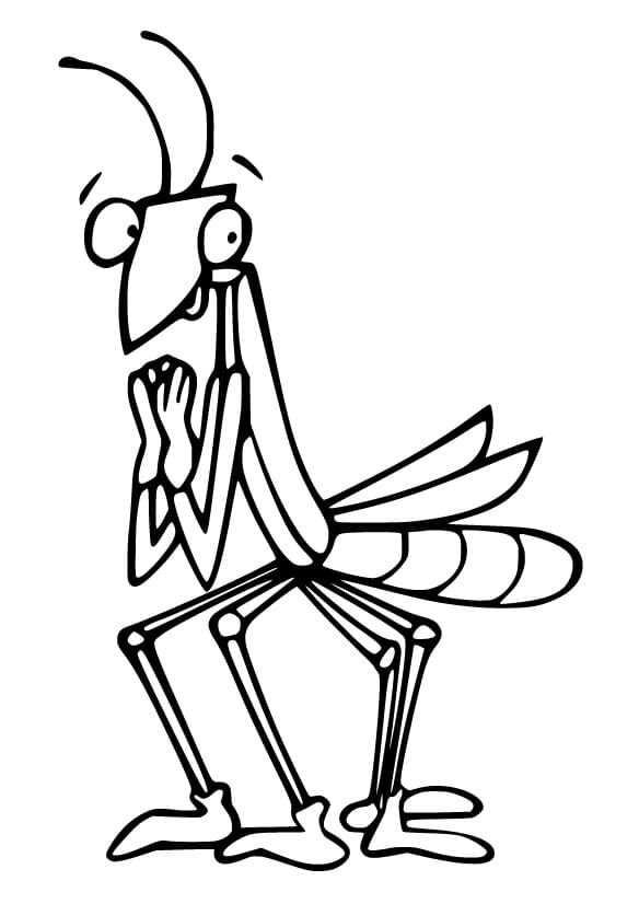 Chú Bọ Ngựa Vui Vẻ