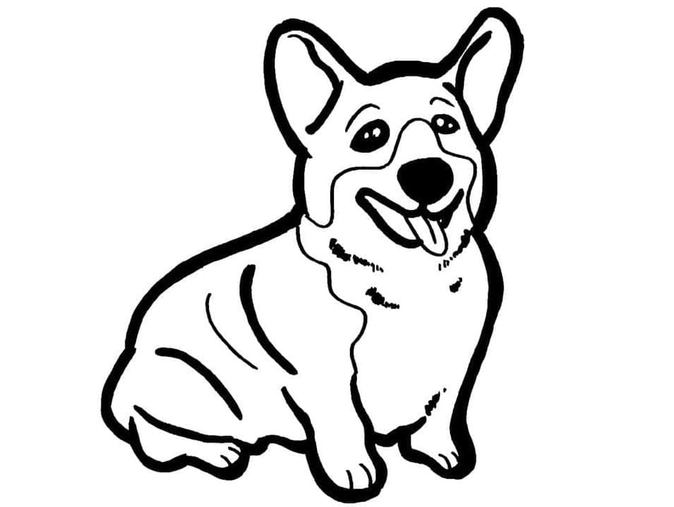 Chú Chó Corgi