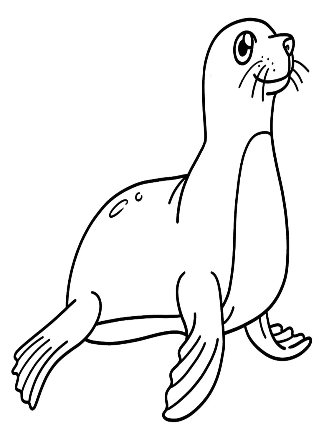 Chú Hải Cẩu Bình Thường