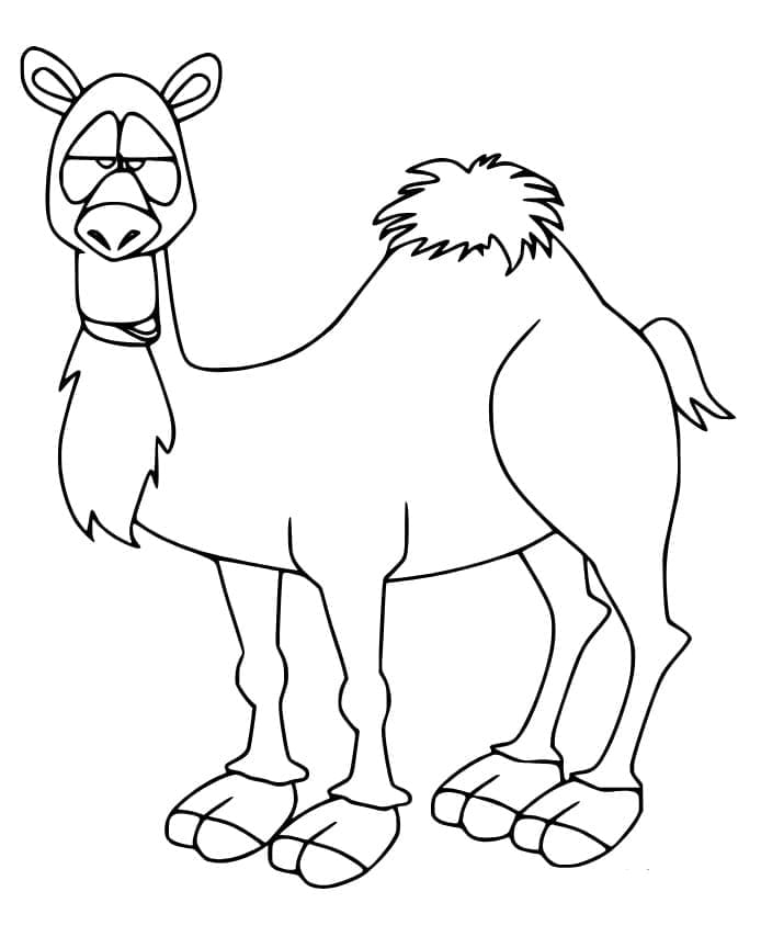 Chú Lạc Đà Thú Vị