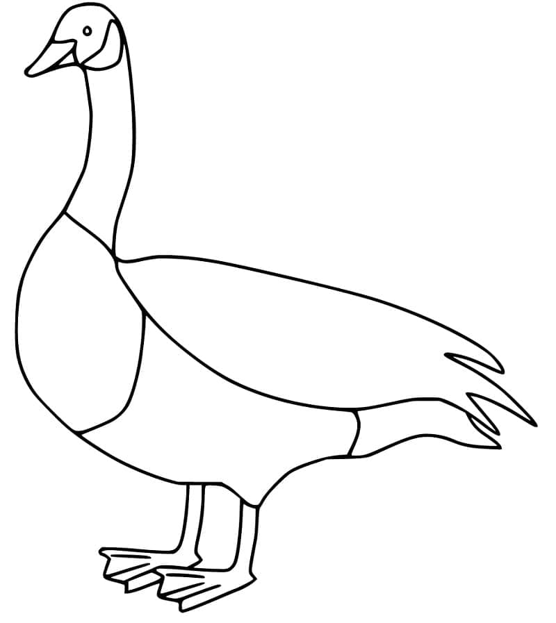 Chú Ngỗng Đơn Giản