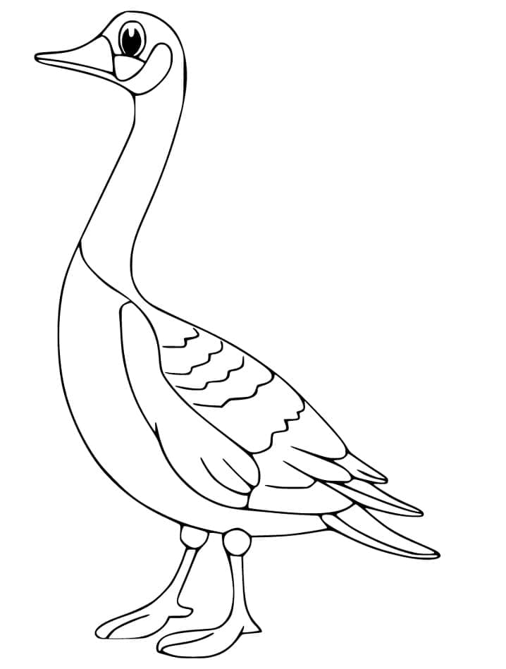 Chú Ngỗng Ngộ Nghĩnh