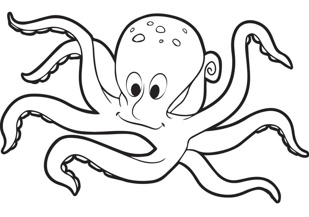 Con Bạch Tuộc Đang Cười