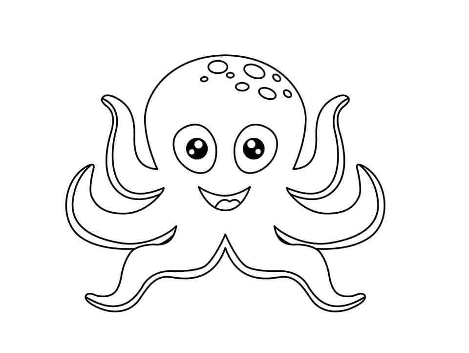 Con Bạch Tuộc Dễ Thương