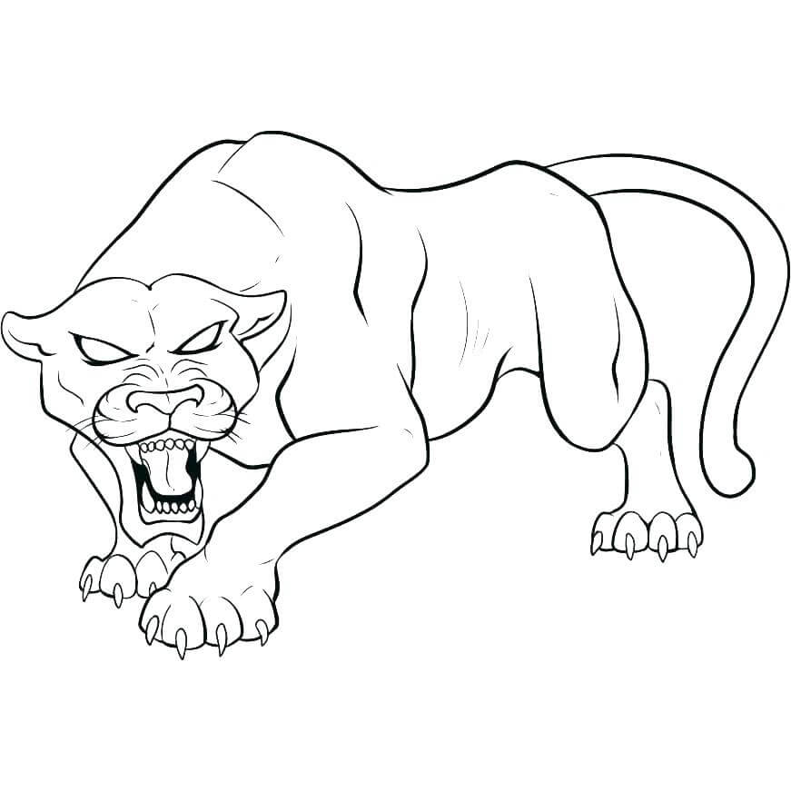 Con Báo Đen Đáng Sợ