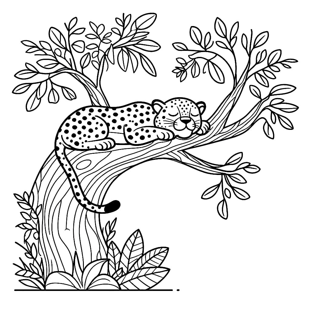 Con Báo Nhỏ Ngủ Trên Cây