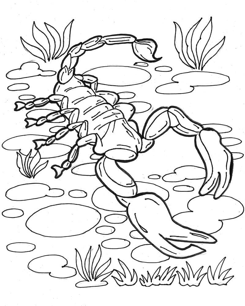 Con Bọ Cạp Dưới Đất