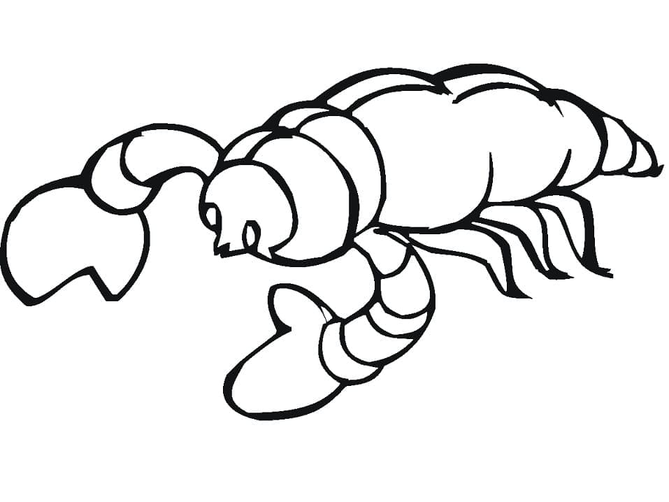 Con Bọ Cạp Vui Nhộn