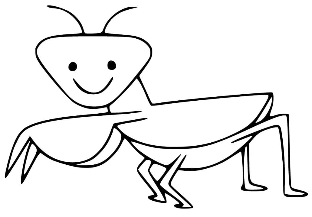 Con Bọ Ngựa Đơn Giản Đáng Yêu