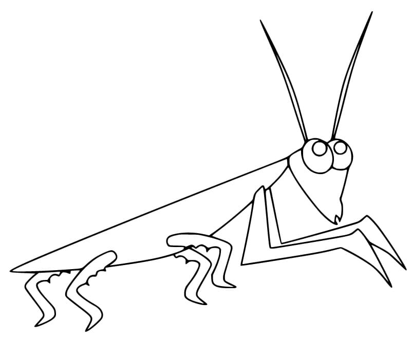 Con Bọ Ngựa Đơn Giản và Ngộ Nghĩnh