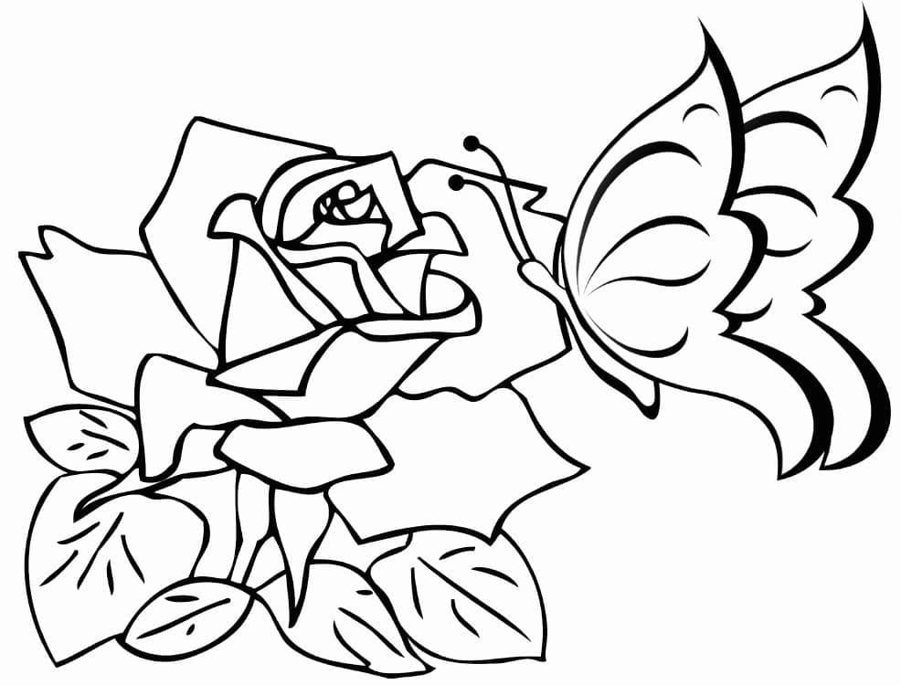 Con Bướm và Hoa Hồng