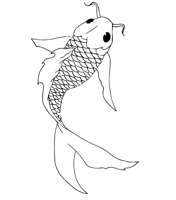 Con Cá Chép Đẹp