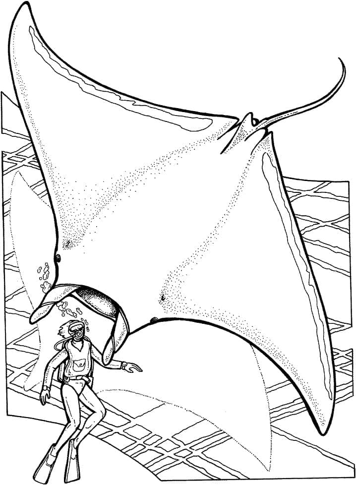 Con Cá Đuối và Thợ Lặn