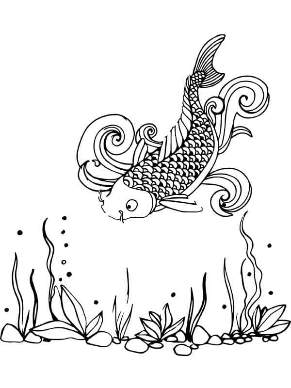 Con Cá Koi Bơi Dưới Nước