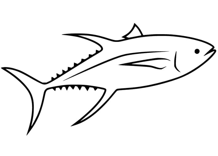 Con Cá Ngừ Đang Bơi