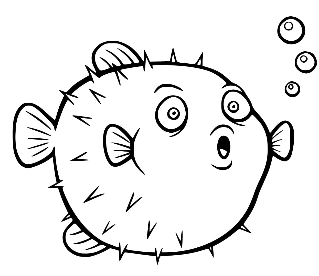 Con Cá Nóc Nhỏ Cute