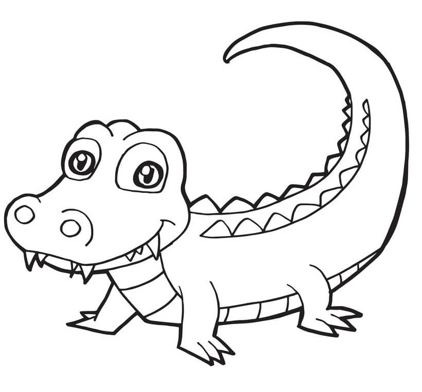 Con Cá Sấu Dễ Thương