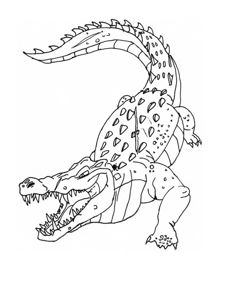 Con Cá Sấu Mở Miệng