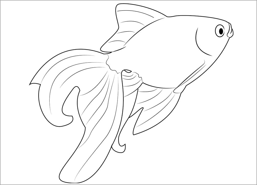 Con Cá Vàng Bơi Tung Tăng