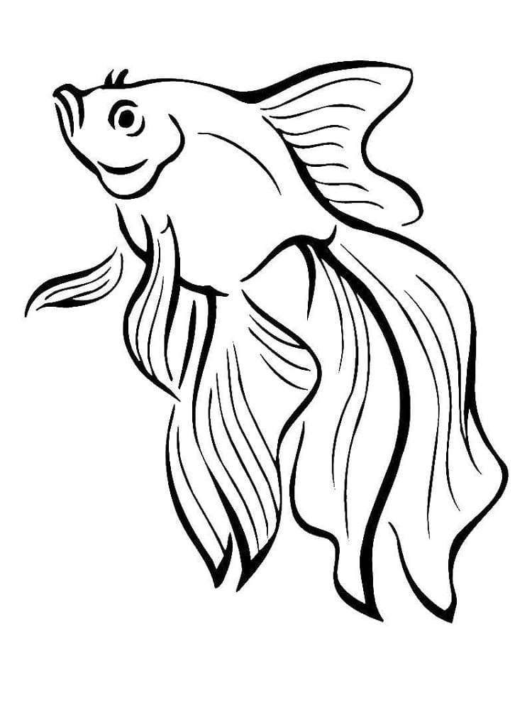 Con Cá Vàng Đẹp Nhất