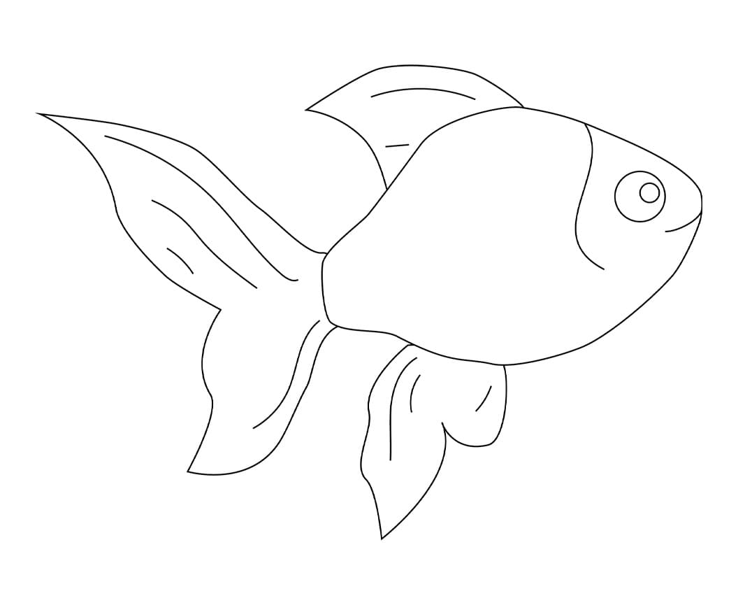 Con Cá Vàng Đơn Giản