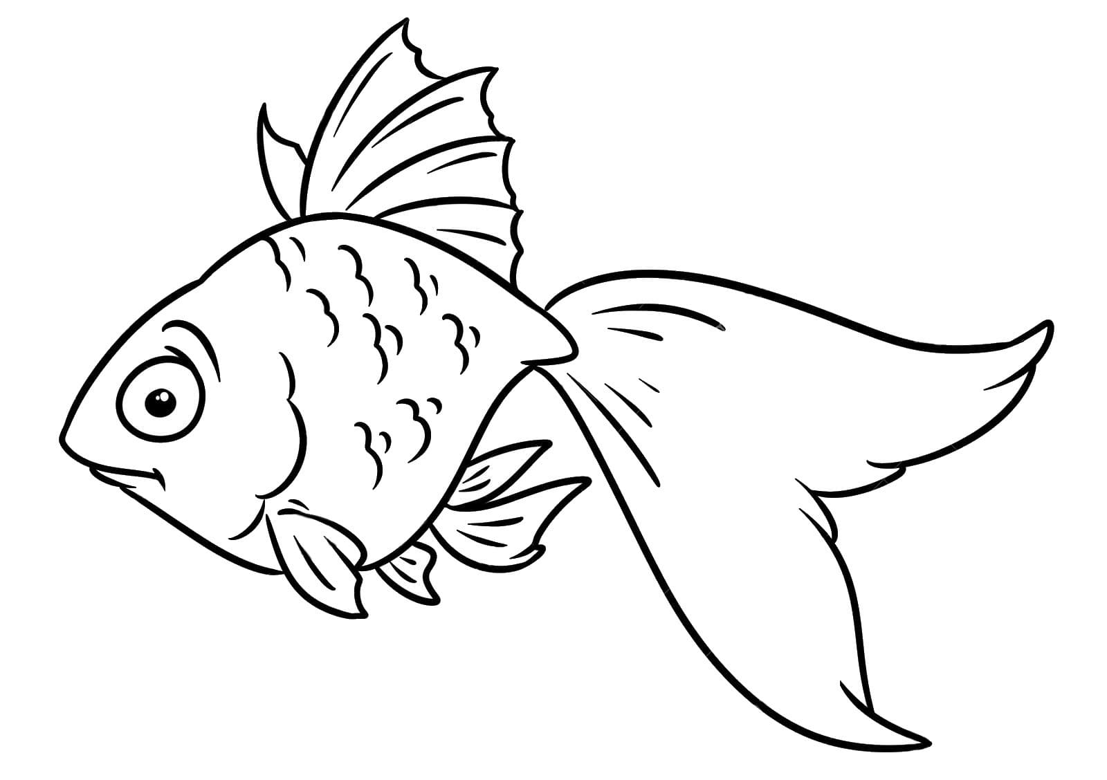 Con Cá Vàng Ngạc Nhiên