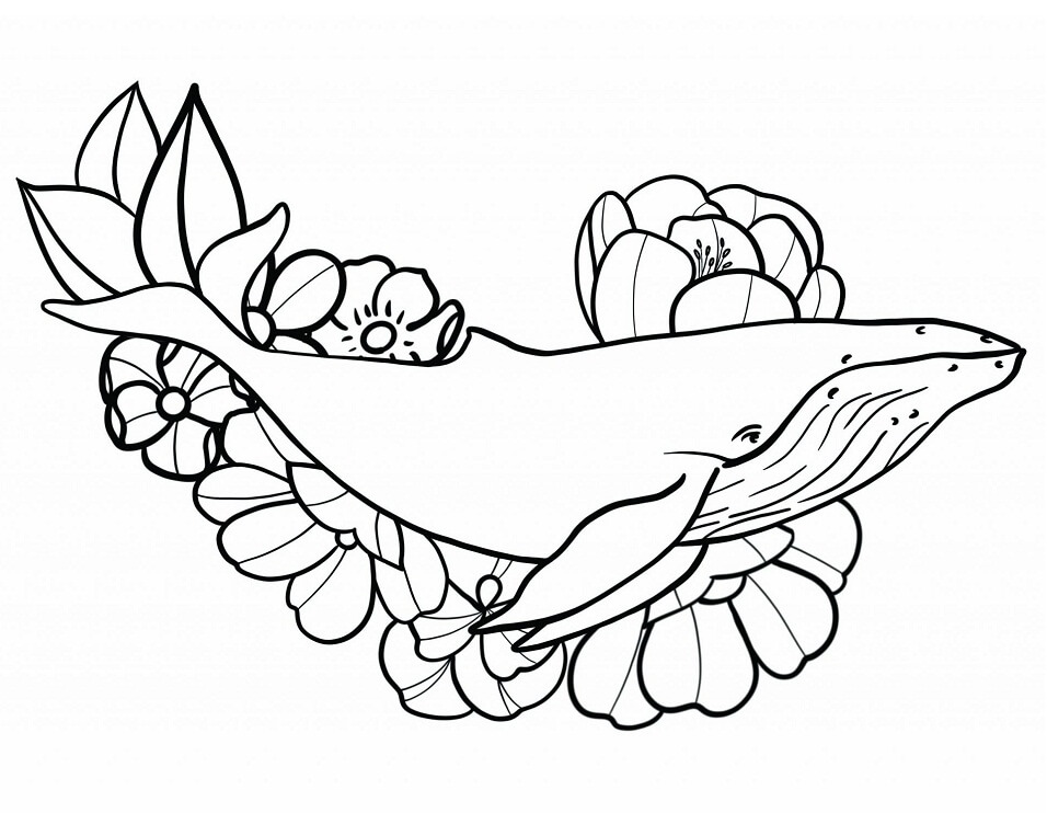 Con Cá Voi Lưng Gù