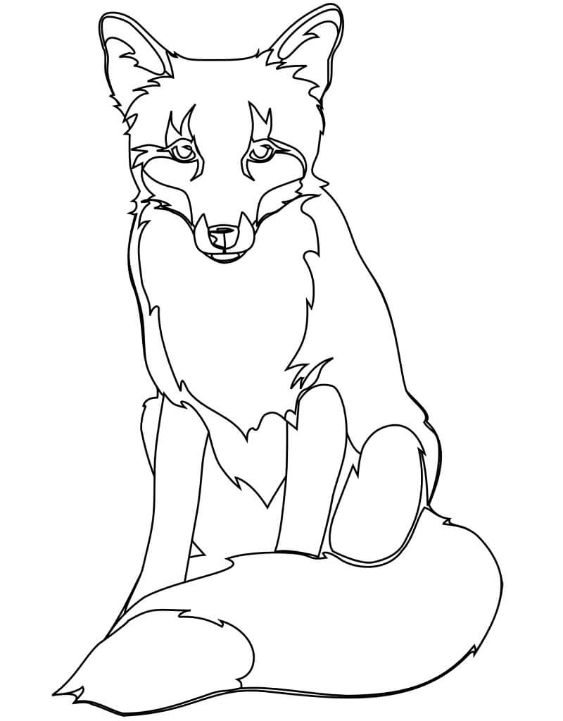 Con Cáo Đang Ngồi