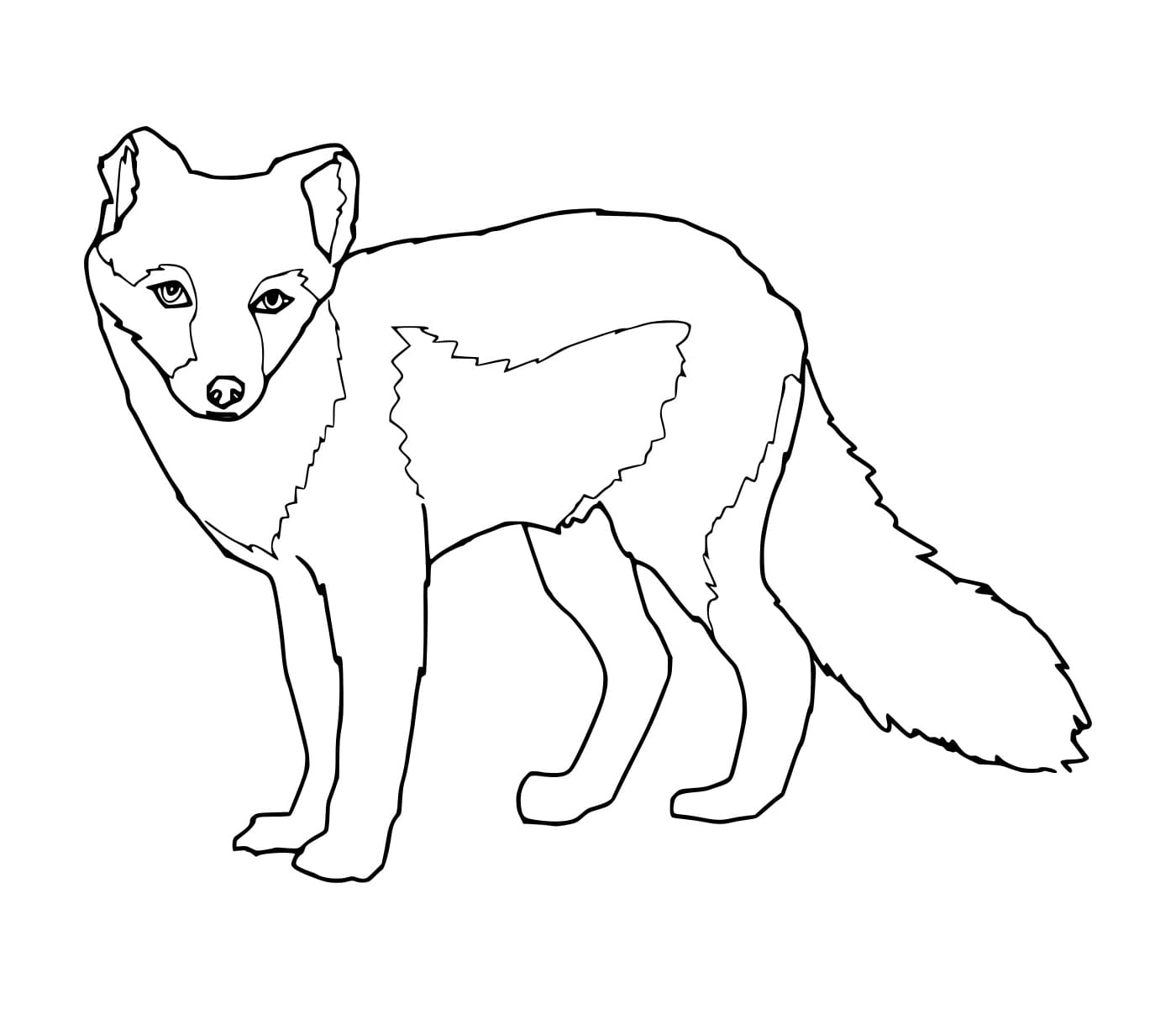 Con Cáo Đơn Giản