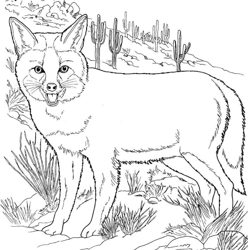 Con Cáo Đồng Cỏ