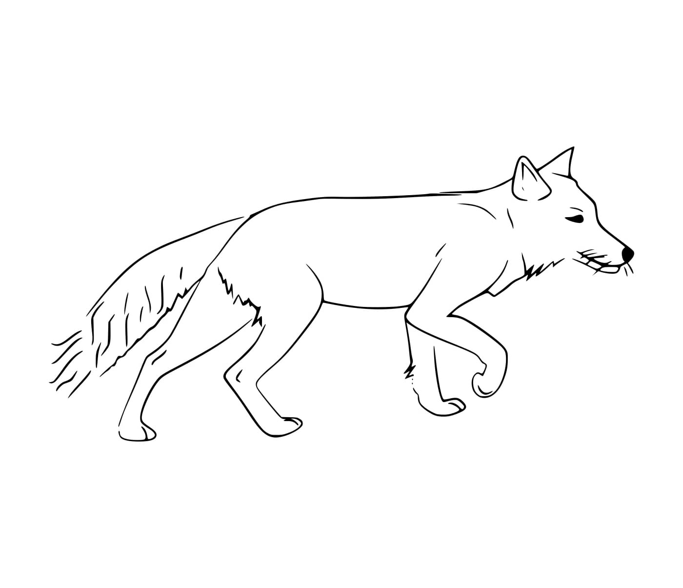 Con Cáo Tây Tạng