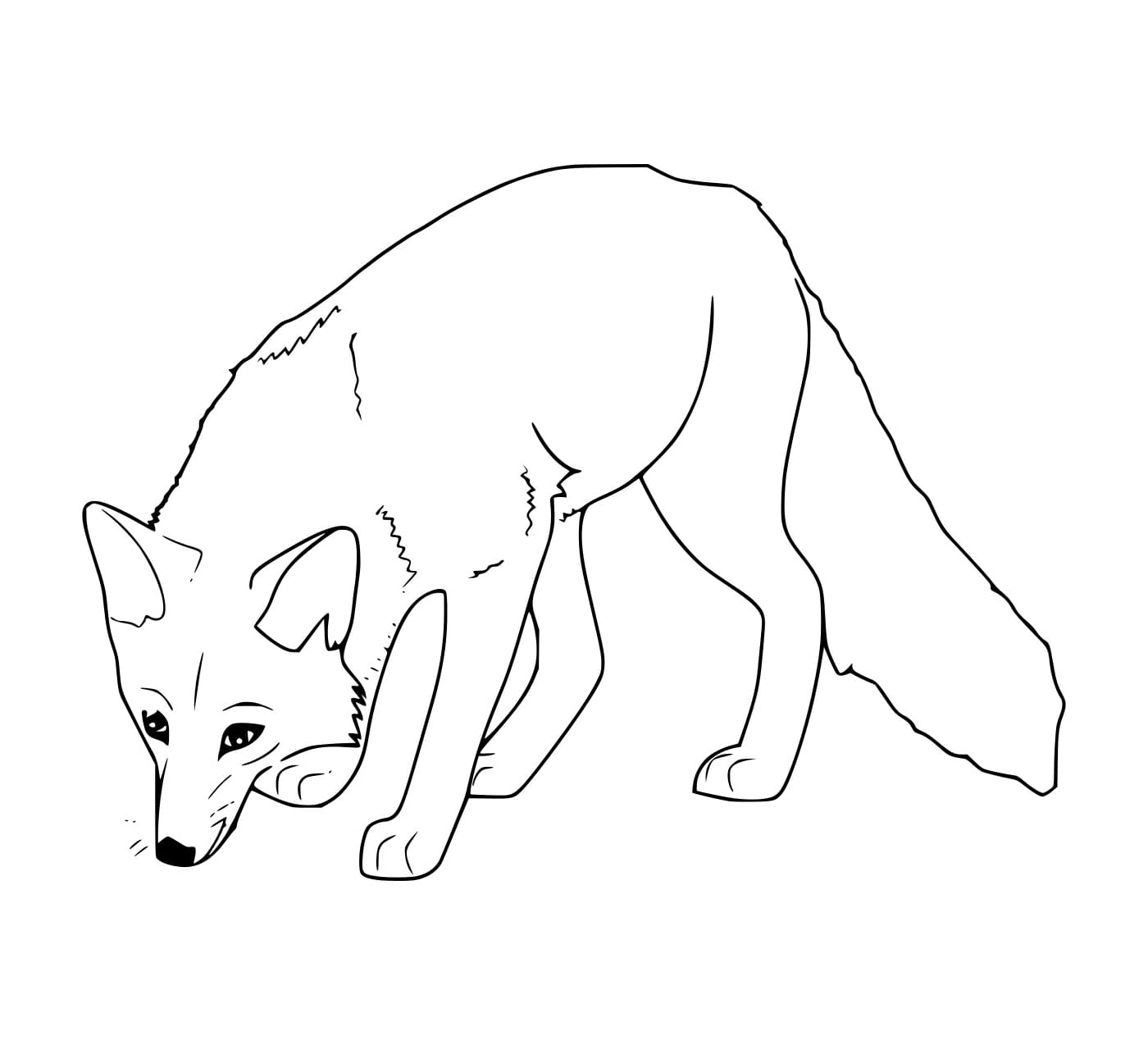 Con Cáo Tìm Thức Ăn