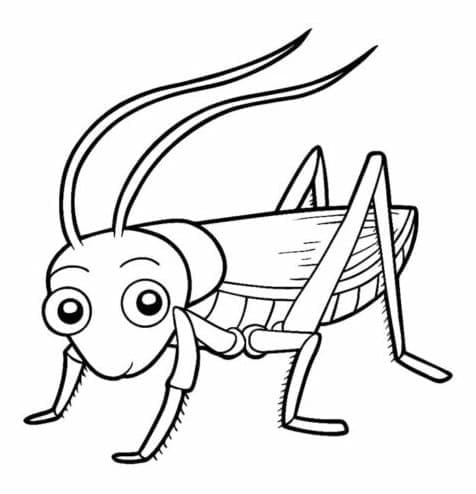 Con Châu Chấu Hoạt Hình