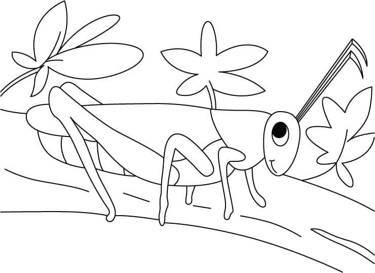 Con Châu Chấu Mỉm Cười