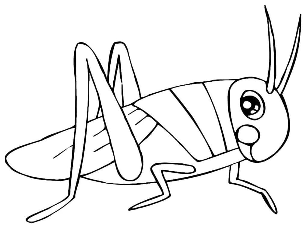 Con Châu Chấu Xinh Xắn