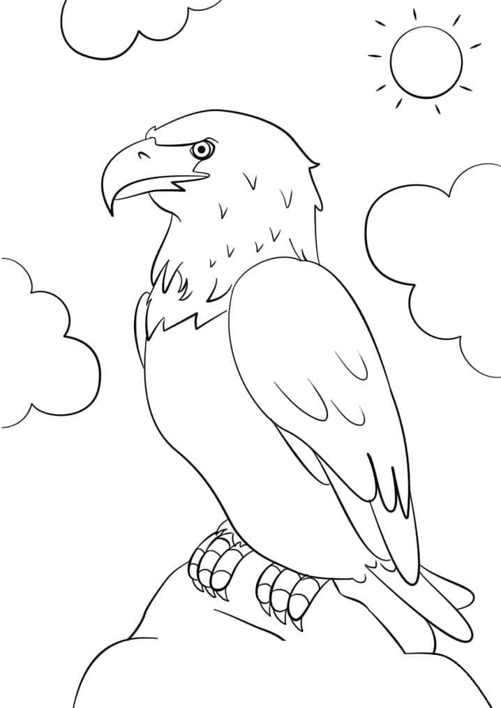 Con Chim Đại Bàng