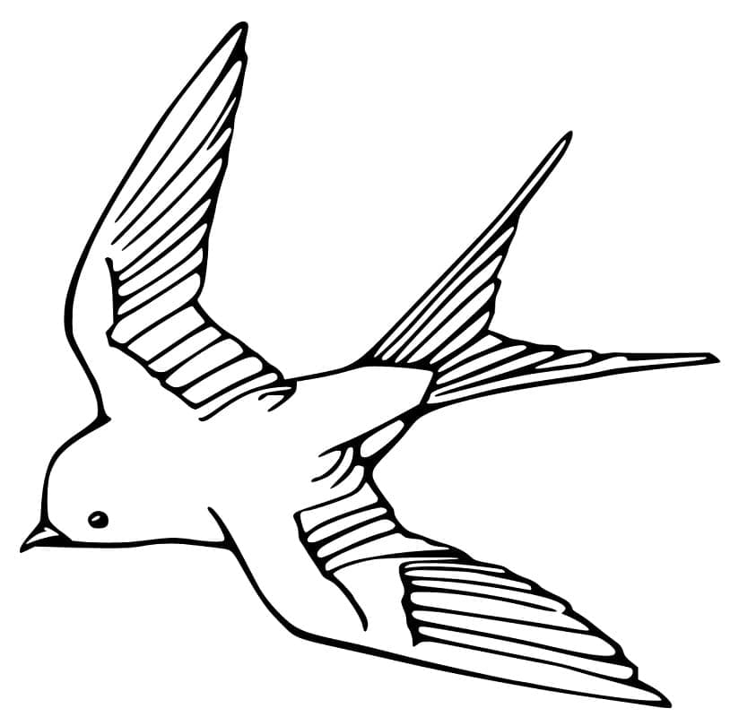 Con Chim Én Nhỏ Đáng Yêu