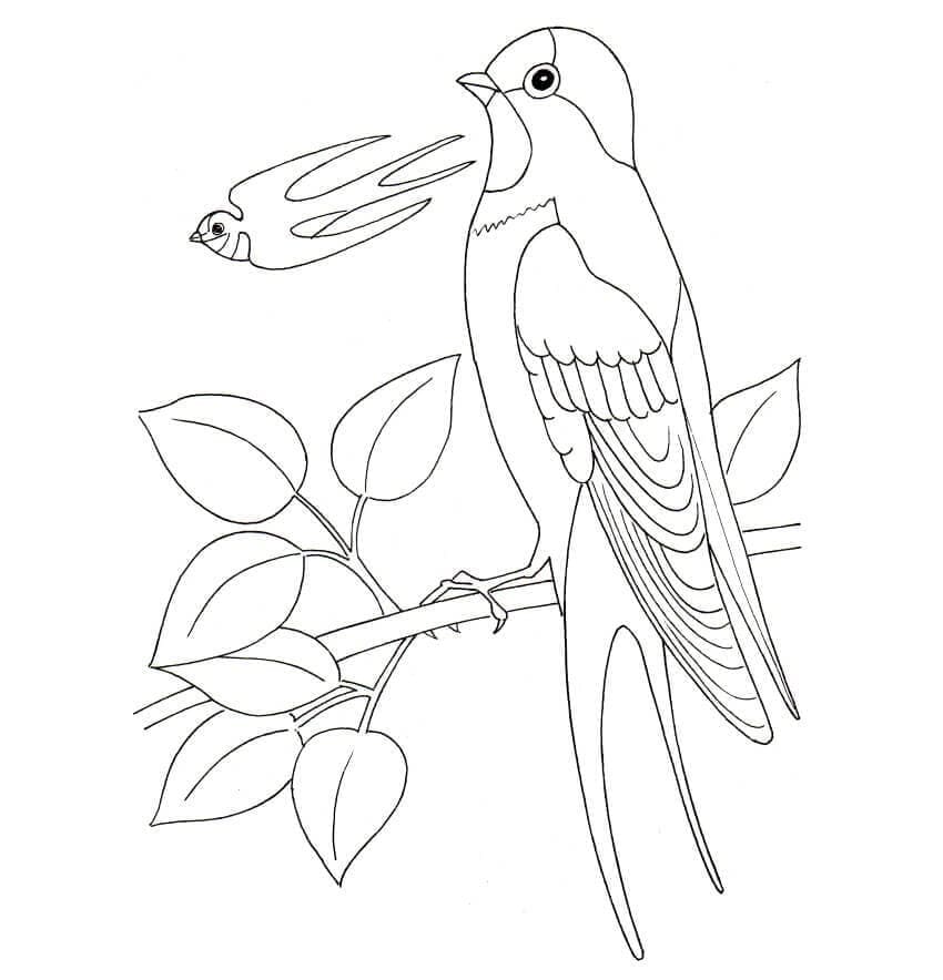 Con Chim Én Trên Cây