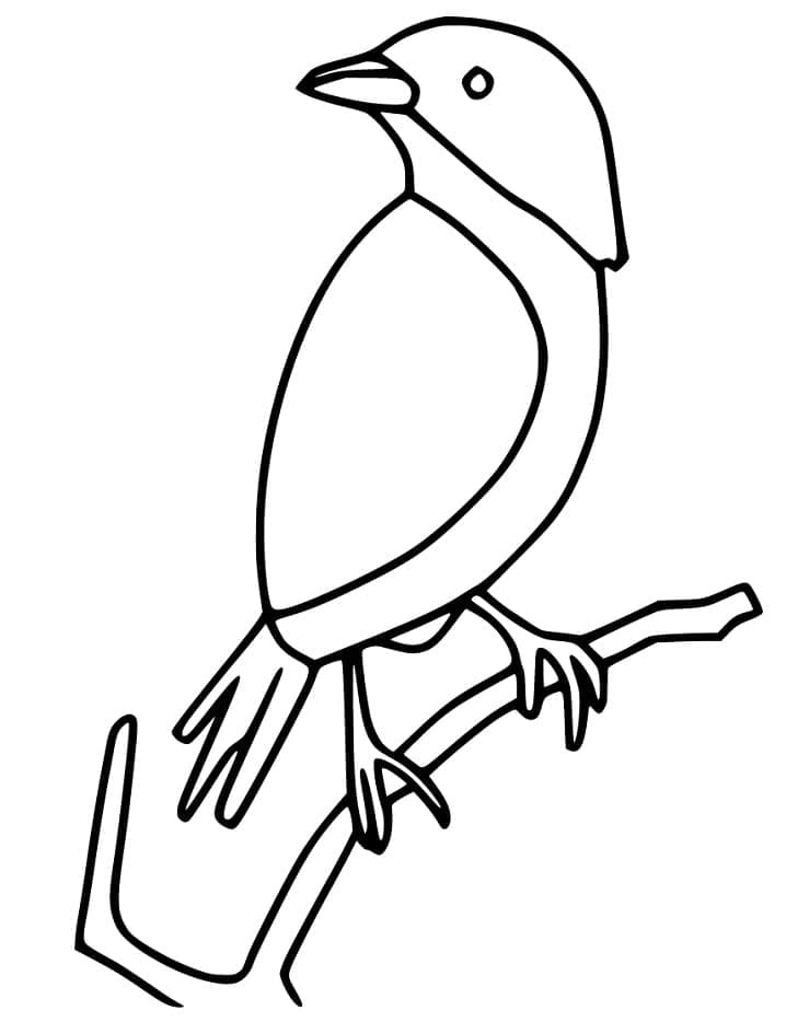 Con Chim Sẻ Đơn Giản