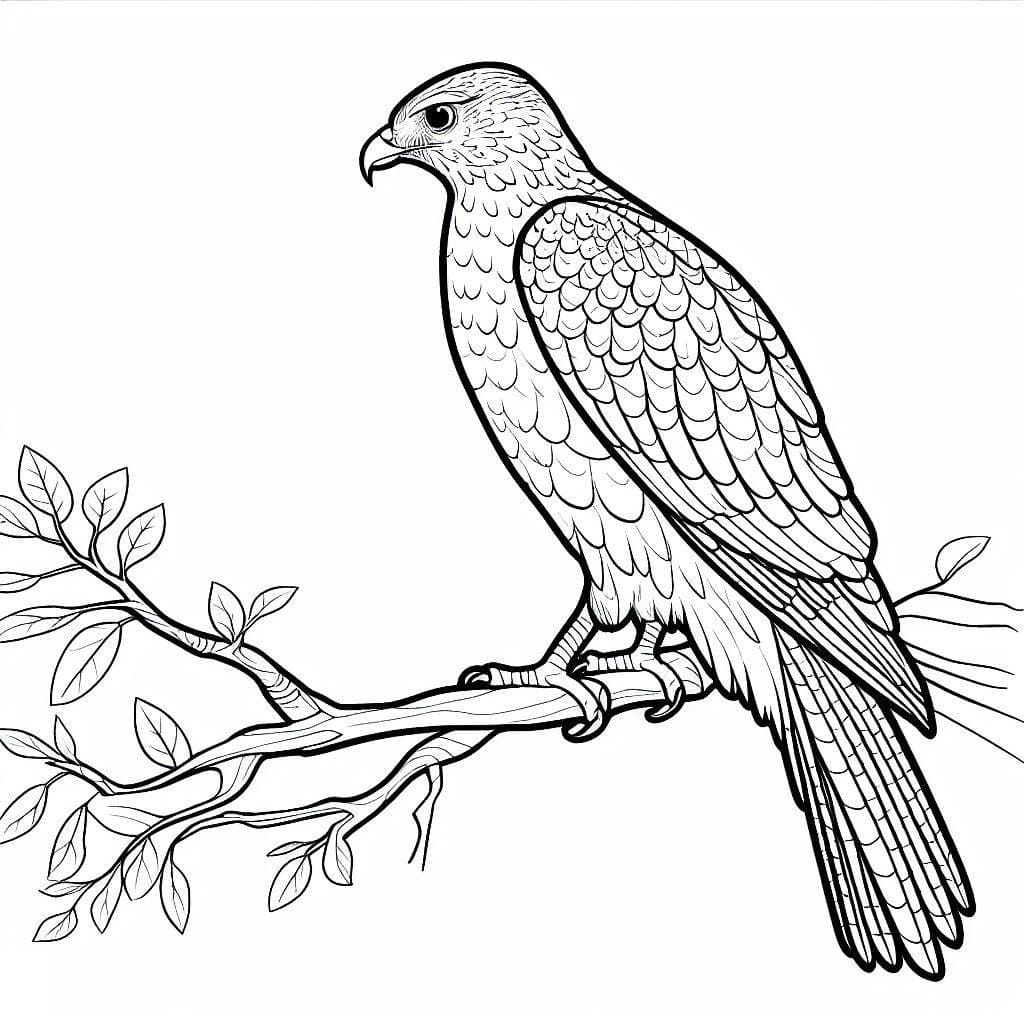 Con Chim Ưng Trên Cây