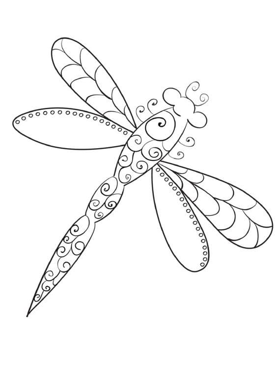 Con Chuồn Chuồn Đẹp