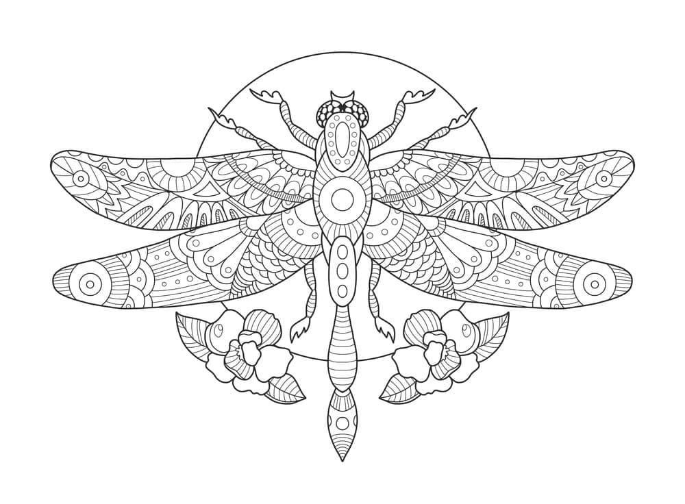 Con Chuồn Chuồn Nghệ Thuật