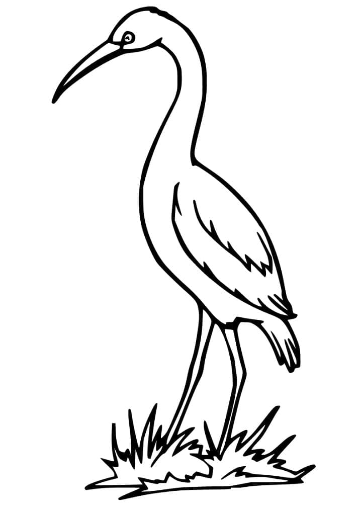 Con Cò Trên Bãi Cỏ