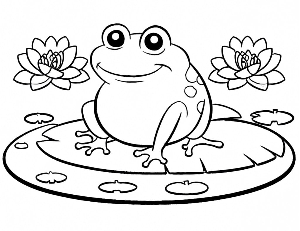 Con Cóc Hoạt Hình