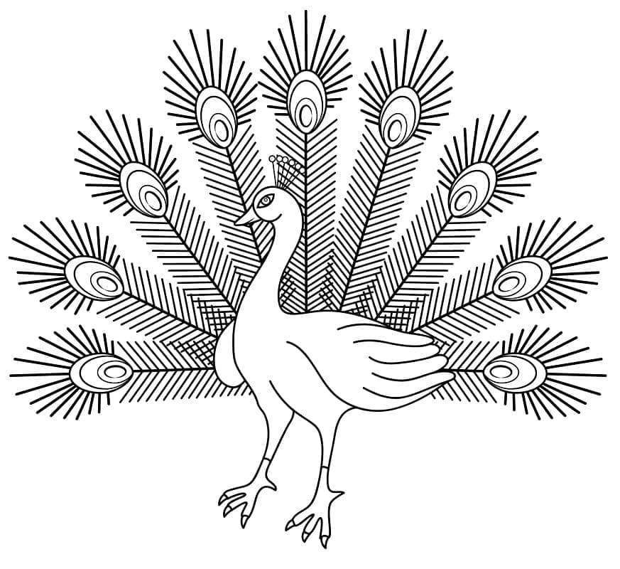 Con Công Lộng Lẫy