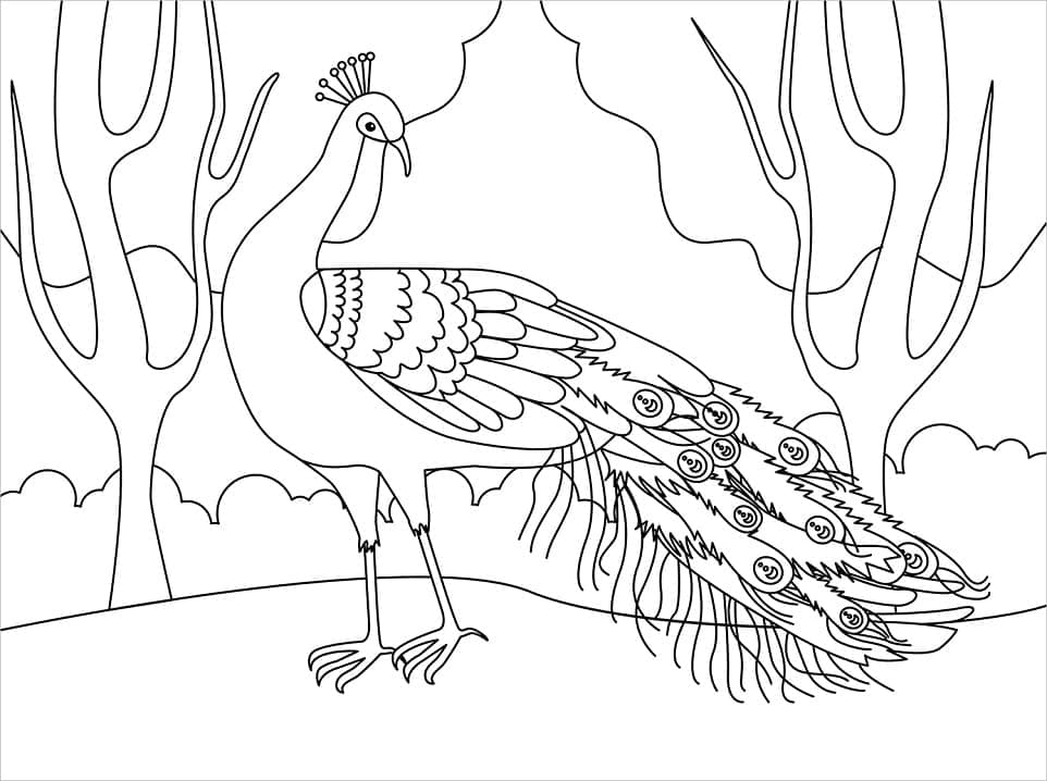 Con Công Trong Rừng